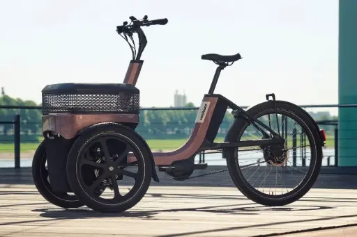[CAT_VAN_1260] VAN RAAM Tricycle THUJA